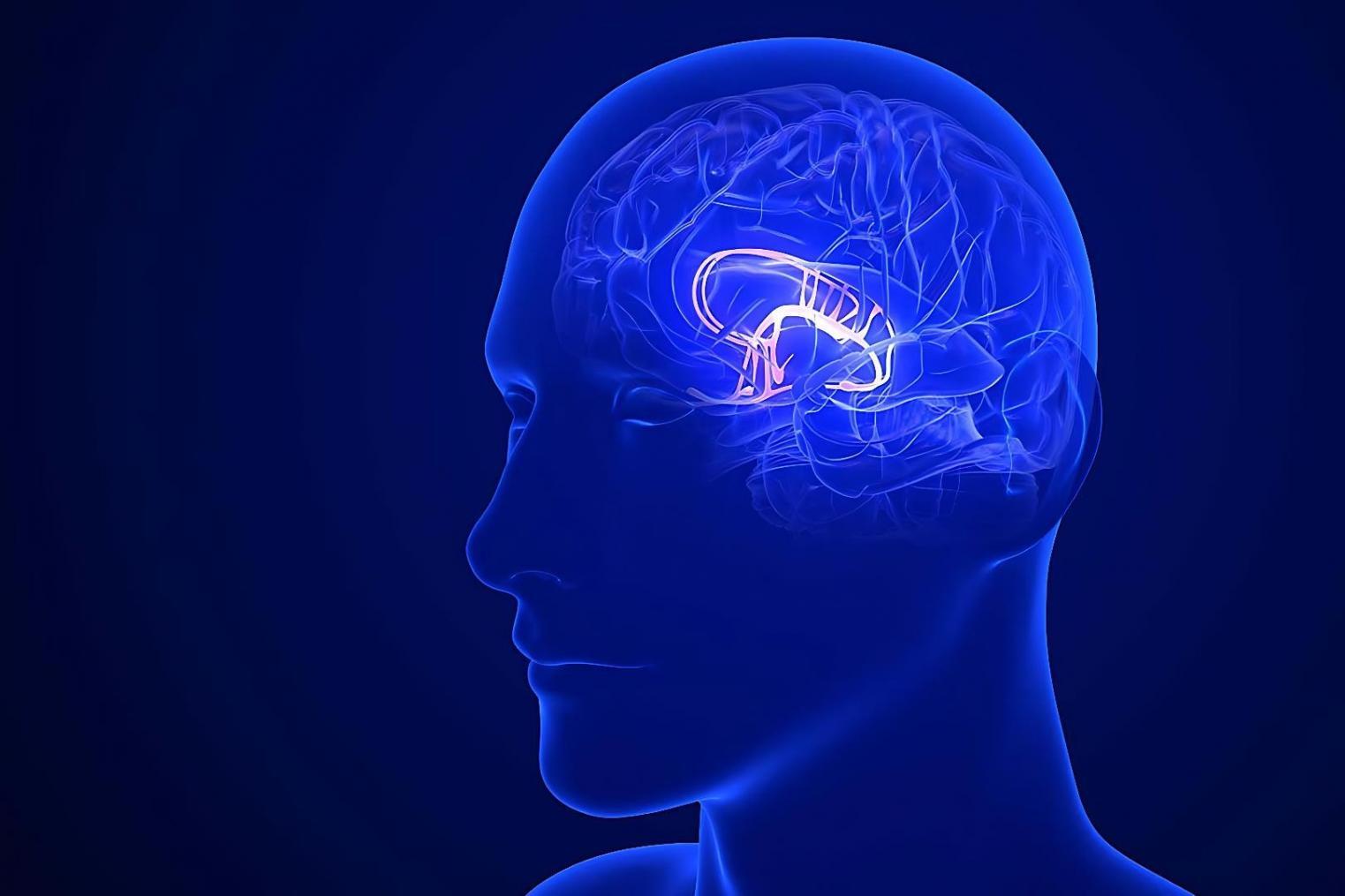 Espace de formation Fenixoraventa